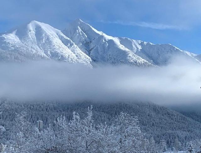 Haus Anna Apartment Seefeld in Tirol Ngoại thất bức ảnh